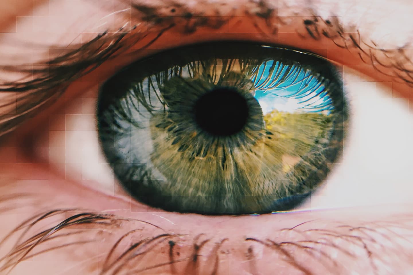 Image of an eye
